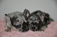 processed/8b51bfde-02d8-4a86-8ad9-b97451f423e7/facility/5c413e50-98a5-42ed-babd-6f360fb45a58