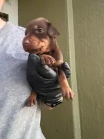 processed/8b51bfde-02d8-4a86-8ad9-b97451f423e7/facility/81d6d0cf-f244-4eef-aca5-327c16c6d6c3