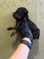 processed/8b51bfde-02d8-4a86-8ad9-b97451f423e7/facility/b5ce73b6-d101-40fa-a1a7-27a27c5550d2