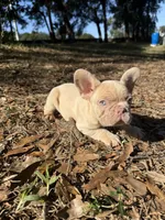 processed/8b51bfde-02d8-4a86-8ad9-b97451f423e7/facility/f7c8399b-6595-46f2-b41e-f8035dcb69fd