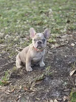 processed/8b51bfde-02d8-4a86-8ad9-b97451f423e7/listing/d7dbb042-75bb-4373-bcfb-edbbb2b5e4ef/41e81853-e54f-4269-b9bf-997f589424cd