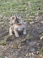 processed/8b51bfde-02d8-4a86-8ad9-b97451f423e7/listing/d7dbb042-75bb-4373-bcfb-edbbb2b5e4ef/ce687395-96fb-41b4-bb4a-26111db91584