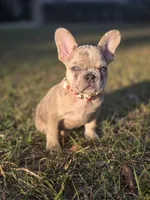 processed/8b51bfde-02d8-4a86-8ad9-b97451f423e7/listing/d7dbb042-75bb-4373-bcfb-edbbb2b5e4ef/e310f432-716e-4def-92a2-98737d13d50c