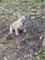 processed/8b51bfde-02d8-4a86-8ad9-b97451f423e7/listing/d7dbb042-75bb-4373-bcfb-edbbb2b5e4ef/ee56cfae-51eb-479d-9b07-b44ccc2c9ad2