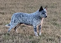 processed/8b533c5d-fcfb-4cef-86df-0977ab09ed17/facility/055765c3-2de9-4025-9472-11fdaf0b0277