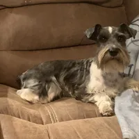 processed/8b533c5d-fcfb-4cef-86df-0977ab09ed17/facility/073769cd-68cf-4c74-83ce-6b1277f6d11f