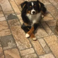 processed/8b533c5d-fcfb-4cef-86df-0977ab09ed17/facility/2592d5b5-166c-48e8-a33e-cc86a93564e2