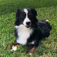 processed/8b533c5d-fcfb-4cef-86df-0977ab09ed17/facility/27e474f3-64ec-46ca-89c7-6bb3e35b0fbb