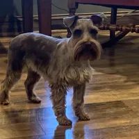 processed/8b533c5d-fcfb-4cef-86df-0977ab09ed17/facility/2e82f438-ad2f-4419-a3de-3284426c4d69