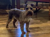 processed/8b533c5d-fcfb-4cef-86df-0977ab09ed17/facility/2e82f438-ad2f-4419-a3de-3284426c4d69