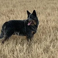 processed/8b533c5d-fcfb-4cef-86df-0977ab09ed17/facility/9157e9e7-6e94-4e31-a2ec-63bad1f13a53