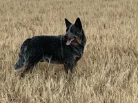 processed/8b533c5d-fcfb-4cef-86df-0977ab09ed17/facility/9157e9e7-6e94-4e31-a2ec-63bad1f13a53