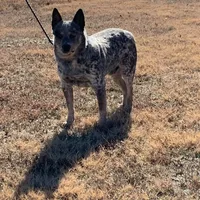 processed/8b533c5d-fcfb-4cef-86df-0977ab09ed17/facility/c1feebbe-f618-467d-a3db-20d29603499b