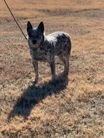 processed/8b533c5d-fcfb-4cef-86df-0977ab09ed17/facility/c1feebbe-f618-467d-a3db-20d29603499b