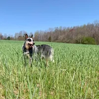 processed/8b533c5d-fcfb-4cef-86df-0977ab09ed17/facility/ed4c2fba-6048-49ba-ac2e-d82f13663e12