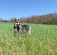 processed/8b533c5d-fcfb-4cef-86df-0977ab09ed17/facility/ed4c2fba-6048-49ba-ac2e-d82f13663e12