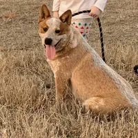 processed/8b533c5d-fcfb-4cef-86df-0977ab09ed17/facility/ed6cb1b8-c22d-4b93-81a9-50d7b5759f3a