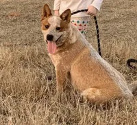 processed/8b533c5d-fcfb-4cef-86df-0977ab09ed17/facility/ed6cb1b8-c22d-4b93-81a9-50d7b5759f3a