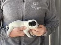 processed/8b533c5d-fcfb-4cef-86df-0977ab09ed17/listing/1db63644-bf13-4ab7-b063-c94202258178/40dee03d-d2a6-4e82-96a4-d55d91ef25f6