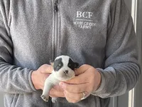 processed/8b533c5d-fcfb-4cef-86df-0977ab09ed17/listing/1db63644-bf13-4ab7-b063-c94202258178/9c04b9c8-9504-4b56-89df-64e0a42820d6