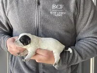 processed/8b533c5d-fcfb-4cef-86df-0977ab09ed17/listing/1db63644-bf13-4ab7-b063-c94202258178/bf8ed77b-5f7c-46c0-99d1-4c063ed40f5c