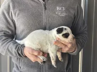 processed/8b533c5d-fcfb-4cef-86df-0977ab09ed17/listing/1ff8bc93-48cc-4766-9ba6-f61274c38074/6ea8dcc2-c4e7-49ed-9075-5a2e72f2a12a