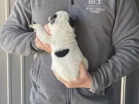 processed/8b533c5d-fcfb-4cef-86df-0977ab09ed17/listing/1ff8bc93-48cc-4766-9ba6-f61274c38074/f89ef6a8-e3b8-4d2f-9888-c9c91caa811e