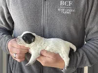 processed/8b533c5d-fcfb-4cef-86df-0977ab09ed17/listing/517eb509-77c3-4ab0-813a-a56fdfc9dd31/13c86837-8133-4dce-b65c-8655e2b0feef