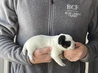 processed/8b533c5d-fcfb-4cef-86df-0977ab09ed17/listing/517eb509-77c3-4ab0-813a-a56fdfc9dd31/469edc48-8611-4f6d-bfd2-9196c6d9f688