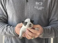 processed/8b533c5d-fcfb-4cef-86df-0977ab09ed17/listing/517eb509-77c3-4ab0-813a-a56fdfc9dd31/e835f8de-b619-4161-9b9a-ddc89590cebb