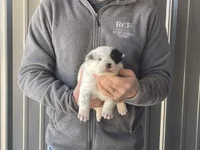 processed/8b533c5d-fcfb-4cef-86df-0977ab09ed17/listing/6604925a-f98b-472f-93cc-c2036e2b52db/836e12da-3332-41fa-9647-9fb3be5b70cb