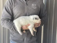 processed/8b533c5d-fcfb-4cef-86df-0977ab09ed17/listing/6604925a-f98b-472f-93cc-c2036e2b52db/abc17d32-deb2-4faf-913e-d1c0ffd7d813