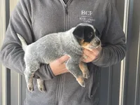 processed/8b533c5d-fcfb-4cef-86df-0977ab09ed17/listing/7c53199e-e6ba-4926-a554-8d7fde3aaf0c/24a5aadb-b62a-4571-acd8-8990f1989605