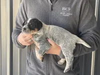 processed/8b533c5d-fcfb-4cef-86df-0977ab09ed17/listing/7c53199e-e6ba-4926-a554-8d7fde3aaf0c/7a30a377-e3d1-4b95-b9d4-9012f5eb9e23