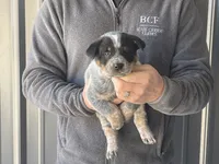 processed/8b533c5d-fcfb-4cef-86df-0977ab09ed17/listing/7c53199e-e6ba-4926-a554-8d7fde3aaf0c/8bbea94c-8788-4598-ba53-e67839f98b41