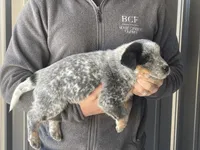 processed/8b533c5d-fcfb-4cef-86df-0977ab09ed17/listing/9cd92b9f-441a-4a96-9eb2-5be78c3c8aaf/14305f11-43af-4f55-9be8-a1e48d0d8a1f