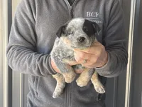 processed/8b533c5d-fcfb-4cef-86df-0977ab09ed17/listing/9cd92b9f-441a-4a96-9eb2-5be78c3c8aaf/f050c0e9-57e5-4c4c-b76f-49baef3adf2c