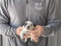 processed/8b533c5d-fcfb-4cef-86df-0977ab09ed17/listing/9f7f3267-b000-494c-b69c-5fc3cf54e2a4/a04d123f-e898-4aeb-b0ad-d54d96c0ee1d