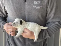 processed/8b533c5d-fcfb-4cef-86df-0977ab09ed17/listing/9f7f3267-b000-494c-b69c-5fc3cf54e2a4/e071a418-2521-4fe6-9fde-168d01e541b5