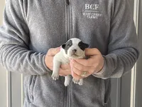 processed/8b533c5d-fcfb-4cef-86df-0977ab09ed17/listing/b96b38cd-2d66-4b81-9667-40c57c26db86/657a0990-c840-44dd-97dd-fc7119e6ea72