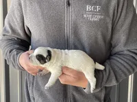 processed/8b533c5d-fcfb-4cef-86df-0977ab09ed17/listing/d33d7031-c446-483e-b6d3-dddf0bf443fc/4377ab3c-a9b7-4934-b921-ced9303ec2fa