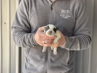 processed/8b533c5d-fcfb-4cef-86df-0977ab09ed17/listing/d33d7031-c446-483e-b6d3-dddf0bf443fc/5b9825d0-5077-4e2d-a326-815c0a0b3ff3