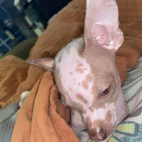 processed/8b573868-8a66-442c-9adb-4580321f039b/facility/a9df2123-97ed-43f4-abf8-8a10958aaf4e