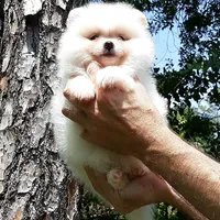 processed/8b61e5ca-06ff-42e5-b050-8c5bef703656/facility/0ea1874d-5040-4932-9fa5-fd03d8613149