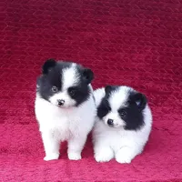 processed/8b61e5ca-06ff-42e5-b050-8c5bef703656/facility/255f2f4c-d5f0-4976-8390-879951f21f71