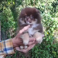 processed/8b61e5ca-06ff-42e5-b050-8c5bef703656/facility/42e3da8a-98b5-42b0-8e00-f6e4c118b79b