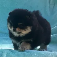 processed/8b61e5ca-06ff-42e5-b050-8c5bef703656/facility/956ab4a3-564a-42a9-bb78-73d91c5b5b83