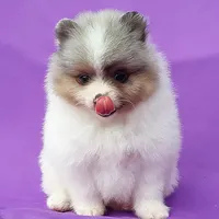 processed/8b61e5ca-06ff-42e5-b050-8c5bef703656/facility/ade234dc-e3b0-4b29-a063-9f9e2bdb60bb