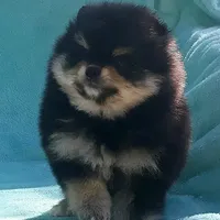 processed/8b61e5ca-06ff-42e5-b050-8c5bef703656/facility/ae9c60fd-176b-4161-bb58-1c192e296f17