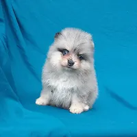 processed/8b61e5ca-06ff-42e5-b050-8c5bef703656/facility/bdd83eeb-455c-4b42-909a-14bf878f845d